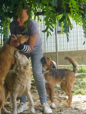 Lustiger DARIO sucht sein Für-immer-Zuhause Bild 2