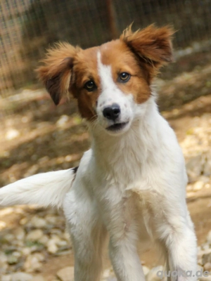 Unsicherer FRIEDRICH möchte noch so viel lernen