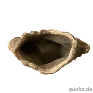 Aquarien. - Reptilienversteck