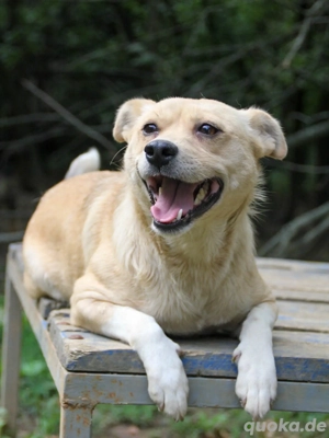 Zaubermaus INESSA sehnt sich nach liebevollem Zuhause