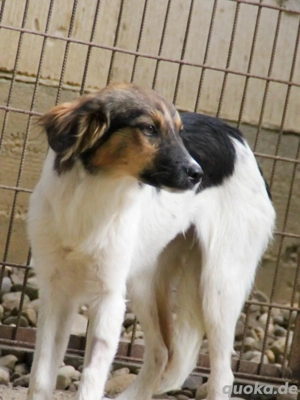 Schüchterne JULIANA will mit dir die Welt kennenlernen