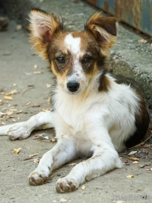 Liebenswerte LIANE will mehr von der Welt sehen
