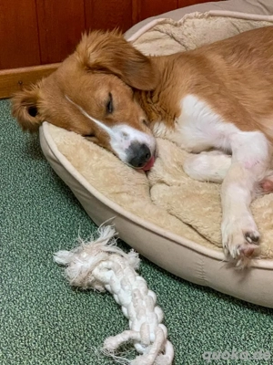 Vorsichtige MILEY wartet in Erlangen auf ihr Glück