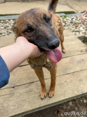 Wunderschöne NISHA sehnt sich nach eigener Familie 