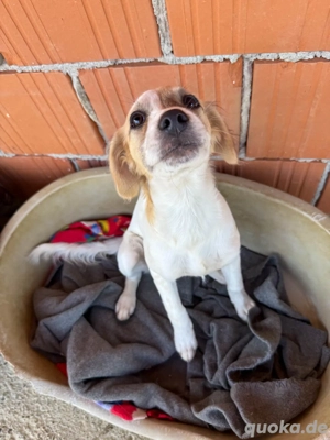 Zuckersüße NASTYA sucht ihre Familie 