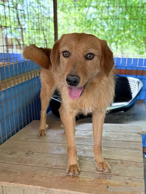 Fröhlicher OLIVER sucht seine Menschen