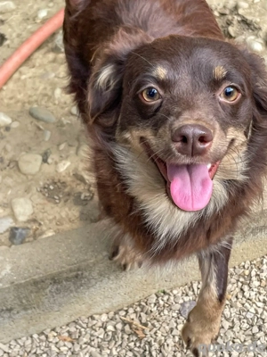 Niedliche SUNSET möchte die Welt entdecken