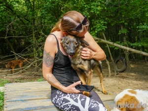 Verspielte WELLA träumt vom Für-immer-Glück