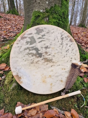 Schamanische- Kosmische Heilesen