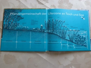 Vintage - Schule - Buch Teich Expedition, ab 7 Jahre Bild 3