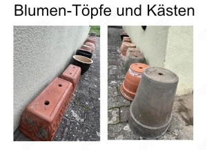 Blumen-Töpfe und Kästen