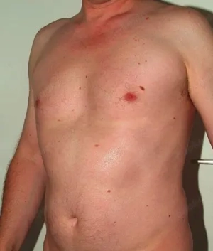 Männliche Stute sucht Hengst