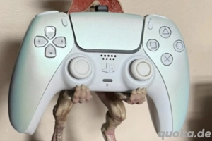 ps5 controller mit Rechnung und Garantie 
