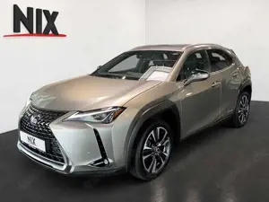 Lexus UX 250h Style Edition KAMERA EPH SHZ
