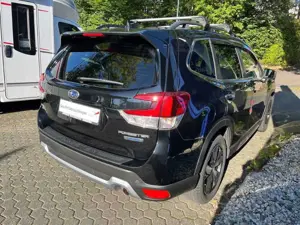 Subaru Forester 2.0ie E-Boxer, Platinum, Allwetter, GD Bild 4