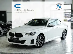 BMW 218 218i Coupe Aut. Kamera