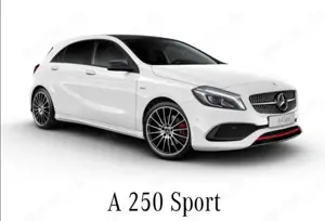 Mercedes-Benz A 250 A 250 AMG Sport 7G-DCT Autom. Pano 19Zoll 8fach