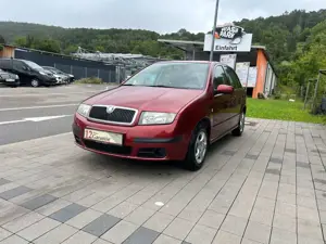 Skoda Fabia Cool Edition** GEPFLEGT **
