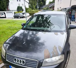 Audi A3 1.6 Attraction