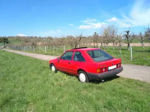 Ford Escort Escort Bravo Bild 2