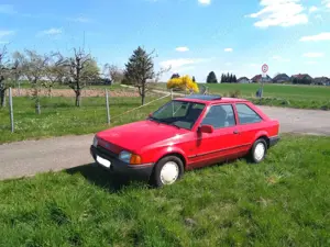Ford Escort Escort Bravo Bild 1