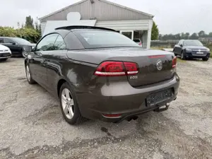 Volkswagen Eos 2.0 TDI DSG I Leder I DCC I Pano I Keyless Bild 5