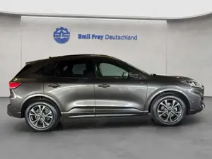 Ford Kuga 1.5 EcoBoost ST-LINE X Bild 4