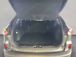 Ford Kuga 1.5 EcoBoost ST-LINE X Bild 2