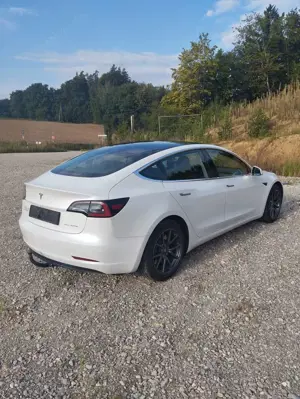 Tesla Model 3 Model 3 Allradantrieb Dual Motor Performance Bild 3