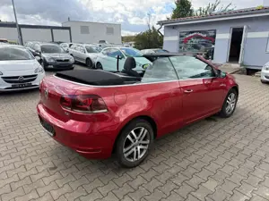 Volkswagen Golf Cabriolet Basis Bild 3