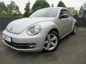 Volkswagen Beetle Bild 4