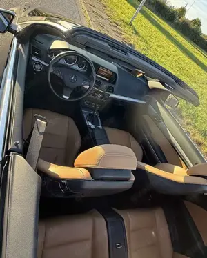 Mercedes-Benz E 350 Mercedes E-350 Cabrio CDI, Airscarf, Ledersitze Bild 5