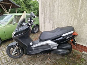 Roller Moped TGB X Large 300 ccm 23PS TÜV Neu