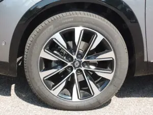 Renault Austral Mild Hybrid 160 Techno Automatik Kamera Bild 4