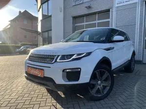 Land Rover Range Rover Evoque Si4 Leder+Navi+Sitzh+Xenon