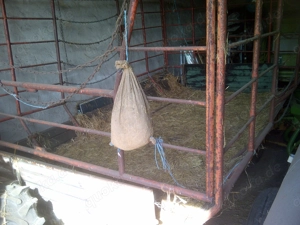 Gitterwagen bzw. Anhänger für Traktor für Hd-Ballen (Stroh   Heu) bzw. Stückholzlager zu verkaufen