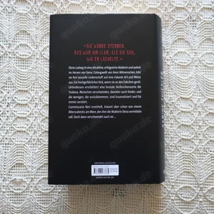 Buch - Thriller - Verschwunden, Spiegel-Bestseller Bild 2