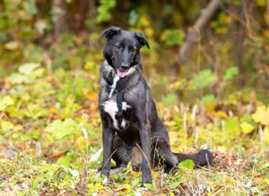Wunderschöne Jasmine mochte geliebt werden Bild 4