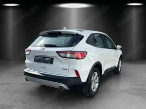 Ford Kuga 2.5 PHEV Cool  Connect Aut./AHK/KAMERA/SHZ Bild 5