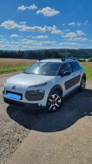 Citroen C4 Cactus 1,6 BHDI Shine TÜV + Service (Oktober25)