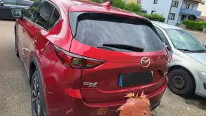 Mazda CX-5 SKYACTIV-D 175 Drive AWD Sports-Line Bild 4