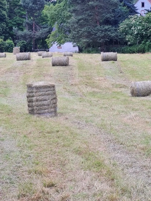 Heu 1. und 2. Schnitt 25 in Rollen 1m x 65cm 