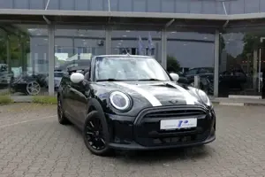 MINI Cooper Cabrio Aut. Classic Trim Kamera SHZ DAB