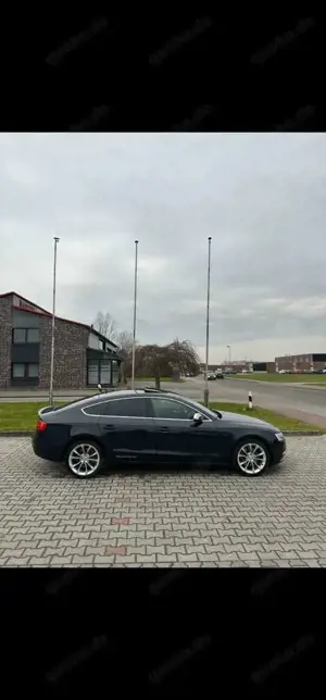 Audi A5 3.0 TDI Sportback (clean die.) quat. DPF S tro.