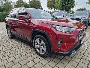 Toyota RAV 4 Hybrid 4x4 Team Deutschland