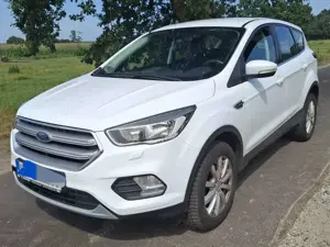 Ford Kuga Kuga 1.5 EcoBoost Bild 3