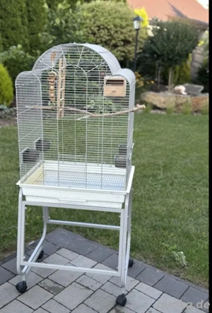 Käfig - Vogelkäfig - Wellensittich