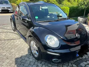 Volkswagen New Beetle 1.4 United Bild 3