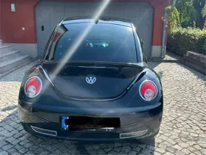 Volkswagen New Beetle 1.4 United Bild 4