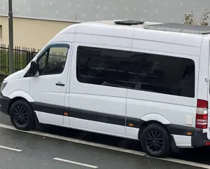 Mercedes-Benz Sprinter 313 CDI (BlueTec) Sprinter 4x4 906.735